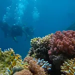 Melio Hotel Eilat